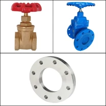 Valve & Flange 