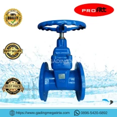 Gate Valve VAG Eko Plus Resilient DCI Seated PN16 3  6