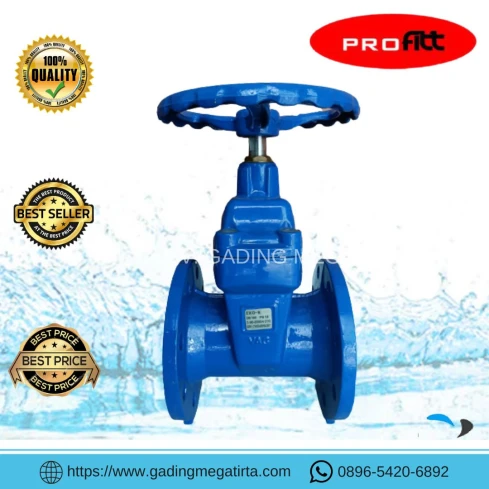 Gate Valve Gate Valve VAG Eko Plus Resilient DCI Seated PN16 3" - 6" 1 ~blog/2023/10/2/valve_vag_160mm